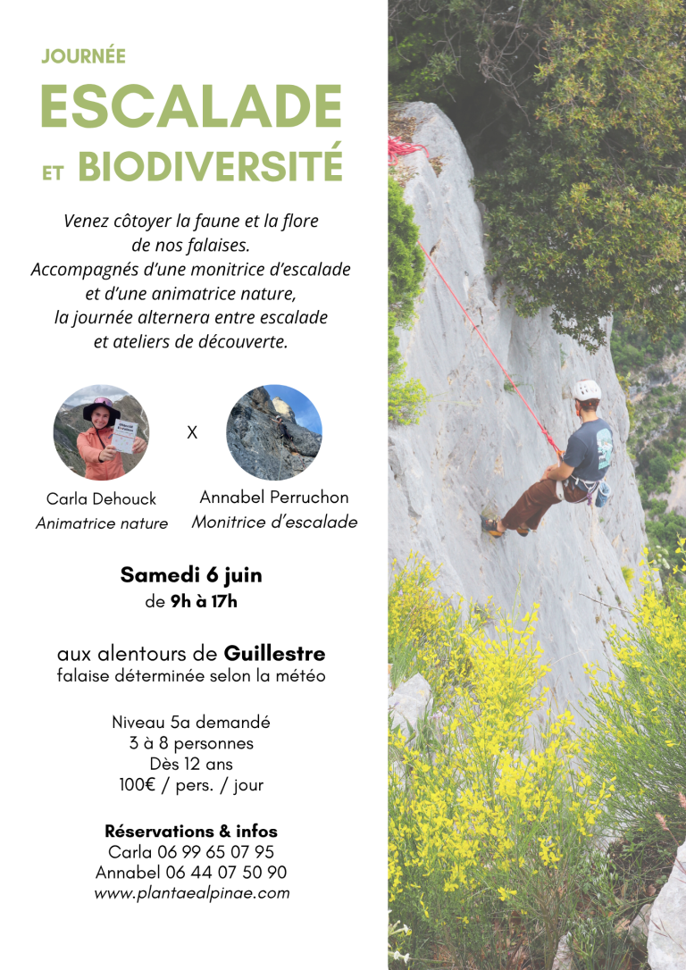 Affiche Escalade biodiv - 6 juin 2026